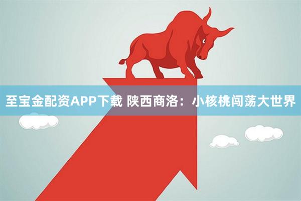 至宝金配资APP下载 陕西商洛：小核桃闯荡大世界